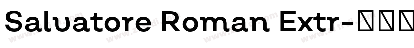 Salvatore Roman Extr字体转换 Salvatore Roman Extr字体转换